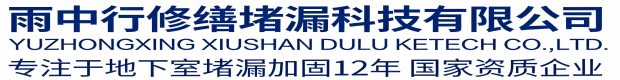 东城雨中行修缮堵漏科技有限公司